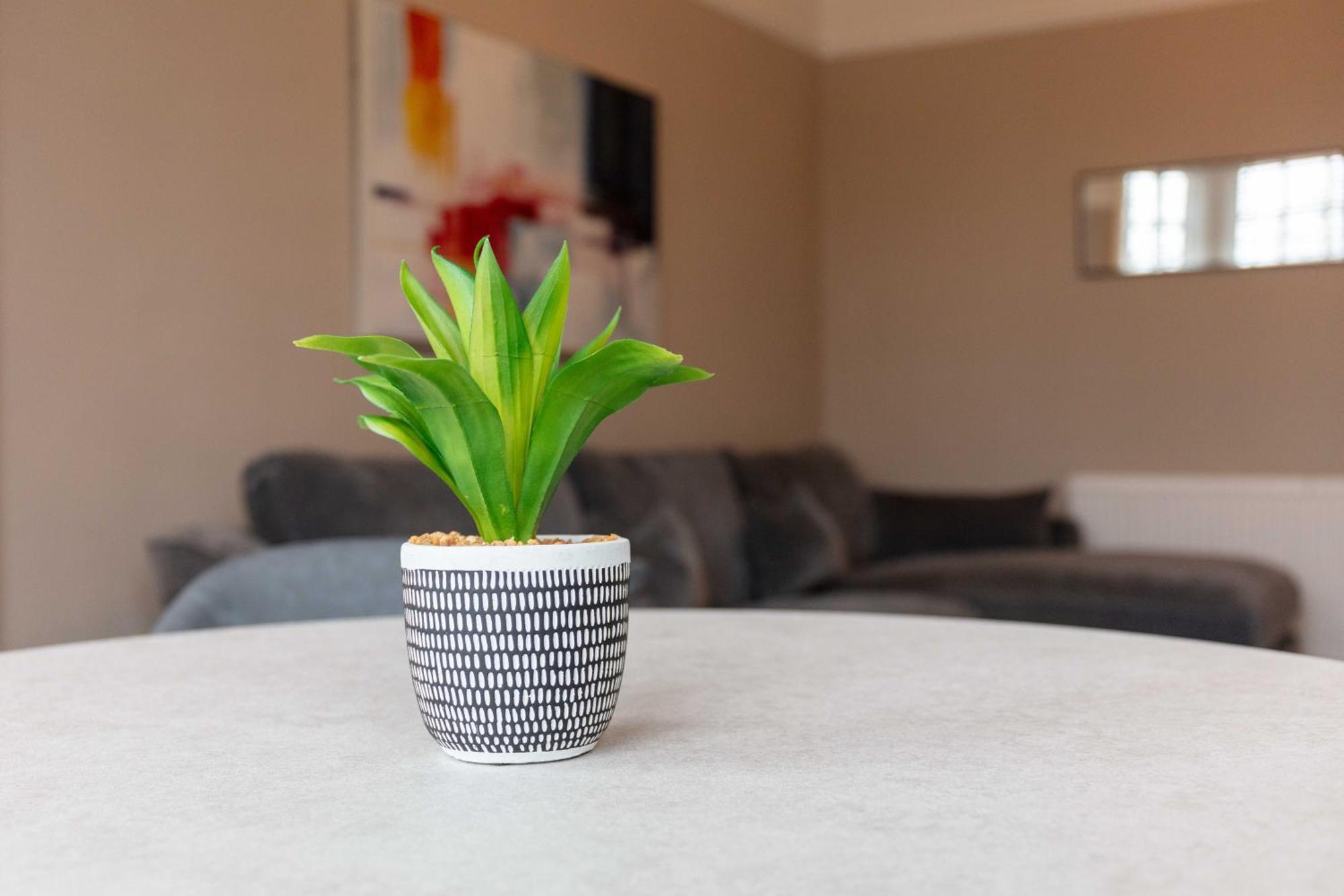 Main Street View Apartment Престуик Екстериор снимка